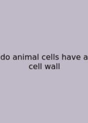 Do Animal Cells Have A Cell Wall